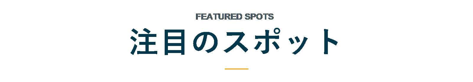 注目のスポット FEATURED SPOTS
