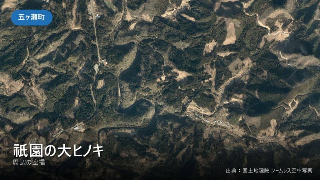 祇園の大ヒノキ 周辺（五ヶ瀬町）の空撮