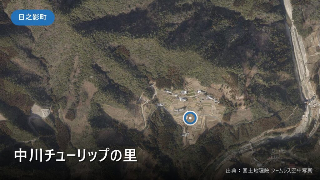 中川チューリップの里 の空撮