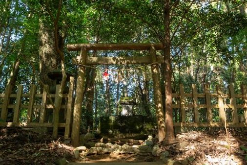 祖母山の山容