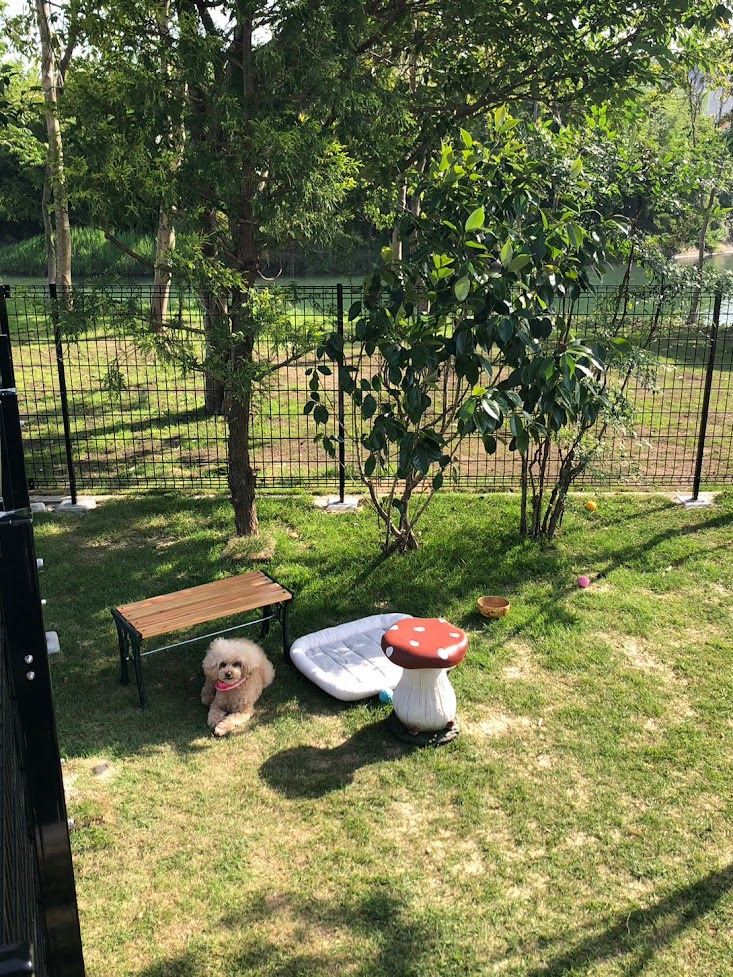 SWELLの看板犬