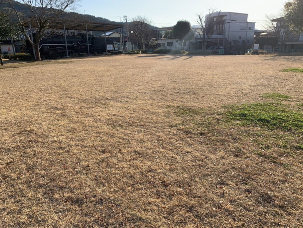 広場でピクニックを楽しめる児童公園