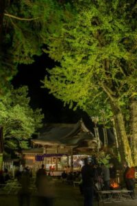 天岩戸神社・天安河原（天岩戸神社1）