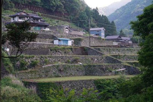 石垣が段々に築かれた戸川地区の集落