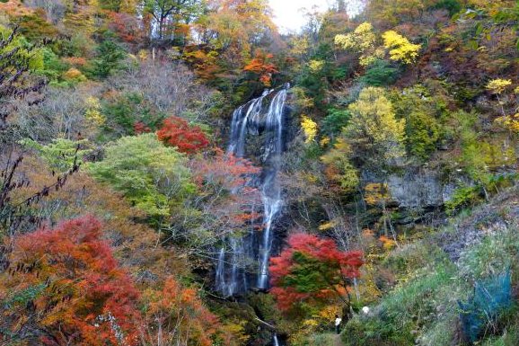 赤や黄に色づく木々の中にかかる五ヶ瀬の白滝