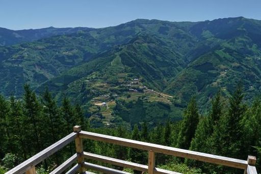 仙人の棚田（仙人の棚田1）
