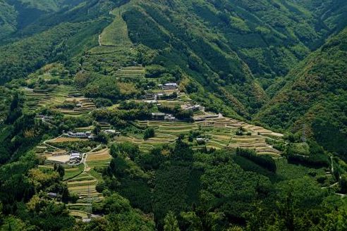 山の斜面に広がる仙人の棚田と集落