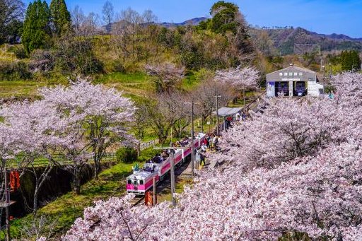 高千穂あまてらす鉄道（あまてらす鉄道）