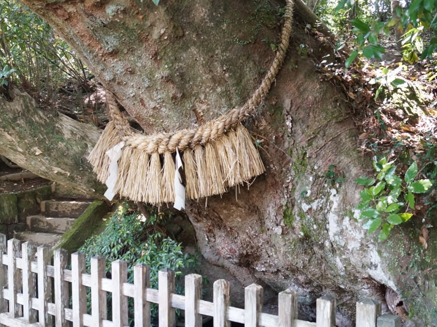 天真名井（天真名井）