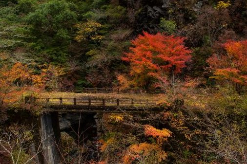 赤や橙に色づく木々の中にかかる橋と橋脚
