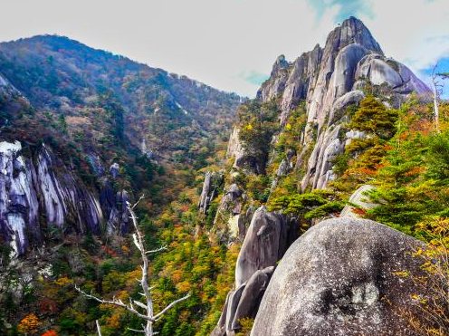大崩山（紅葉に染まる大崩山の岩峰）