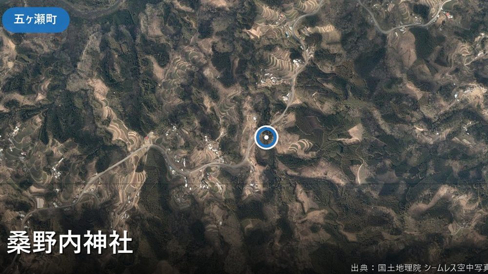 桑野内神社
