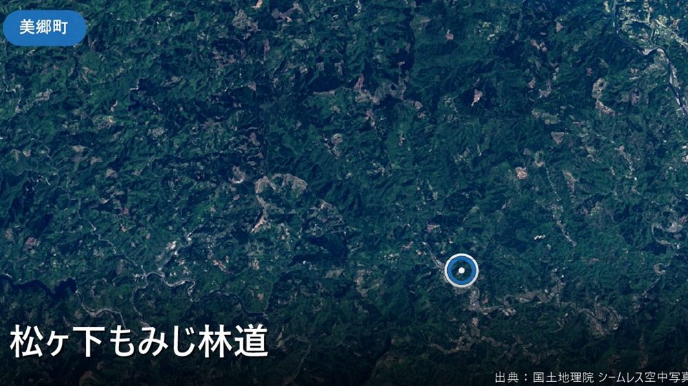 松ヶ下もみじ林道