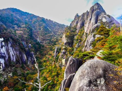 大崩山の岩峰群と紅葉（祝子川渓谷の水源）