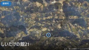 しいたけの館21前の河原