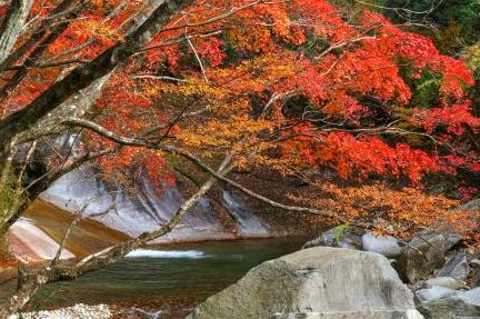 鹿川渓谷の紅葉と花崗岩の一枚岩（延岡市北方町）
