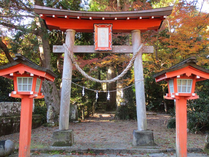 十根川神社と八村杉 紅葉に包まれた十根川神社の朱塗りの鳥居