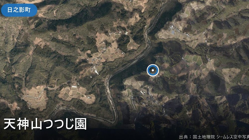 天神山つつじ園