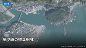 耳川河口と美々津港、権現崎の空中写真