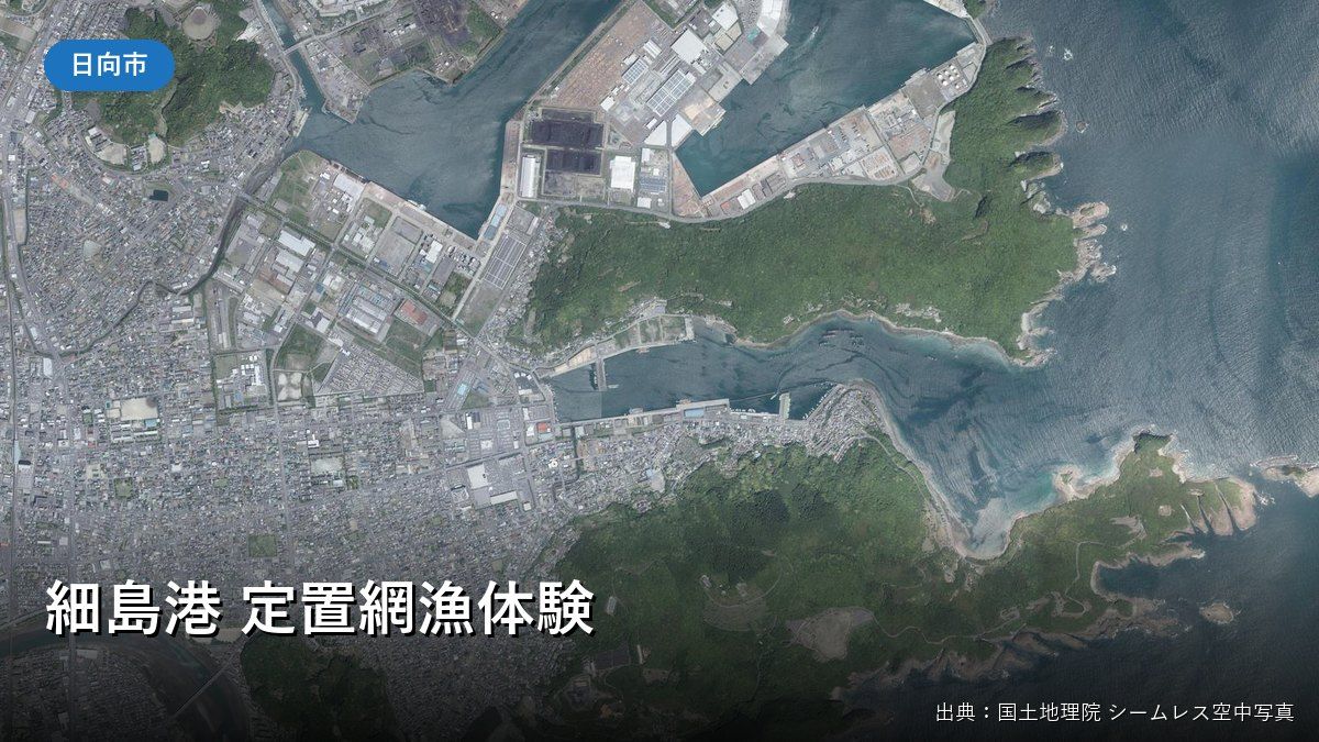 細島港周辺の空中写真(細島港 定置網漁体験)