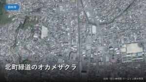 JR日向市駅と北側の高架沿い(北町)の空中写真