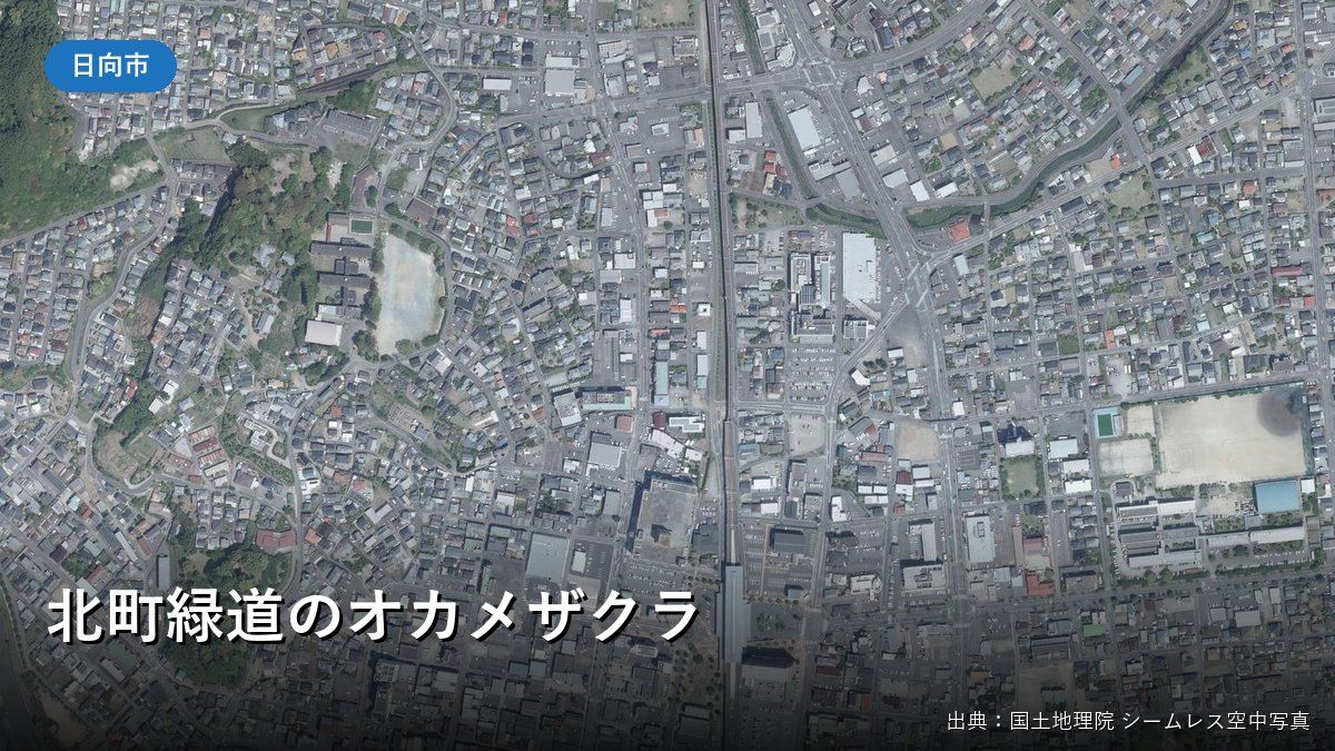 JR日向市駅と北側の高架沿い(北町)の空中写真