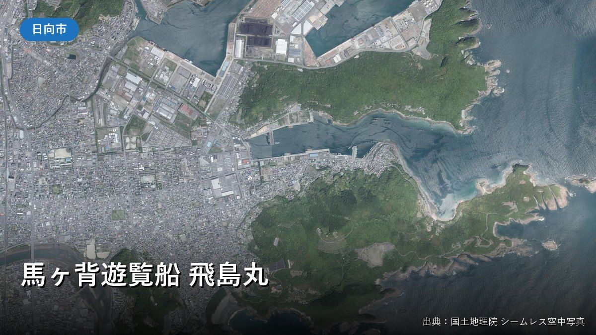 細島港と日向岬の空中写真（馬ヶ背遊覧船 飛島丸）