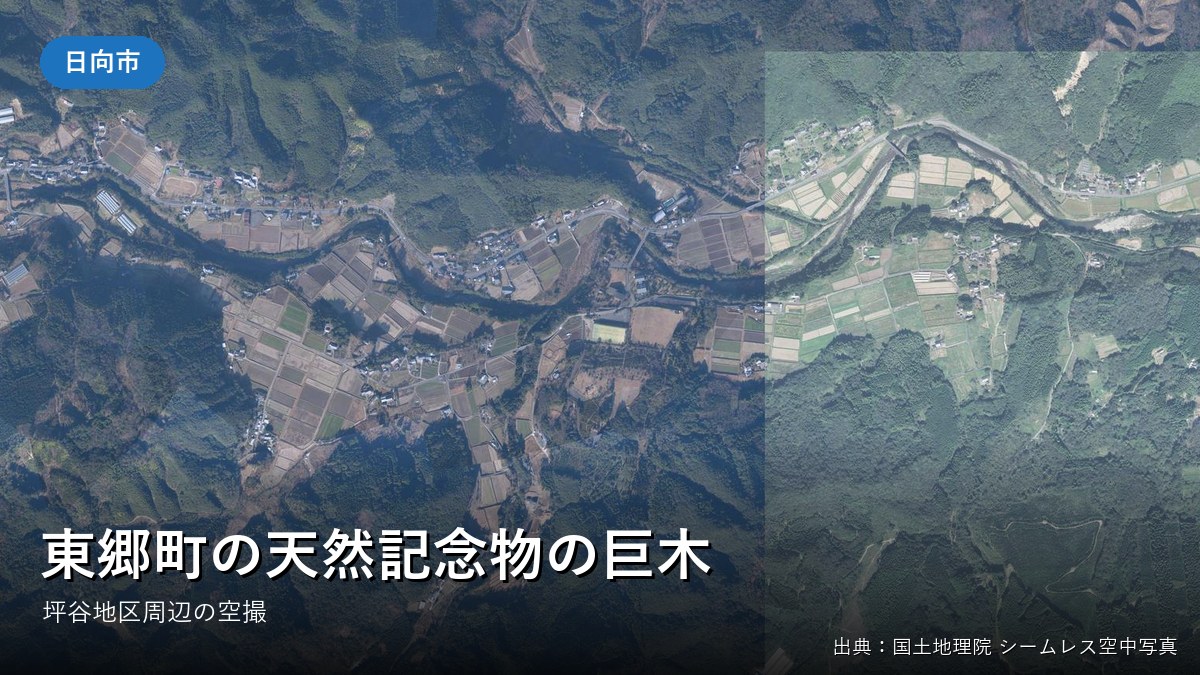 日向市東郷町の坪谷地区周辺の空中写真
