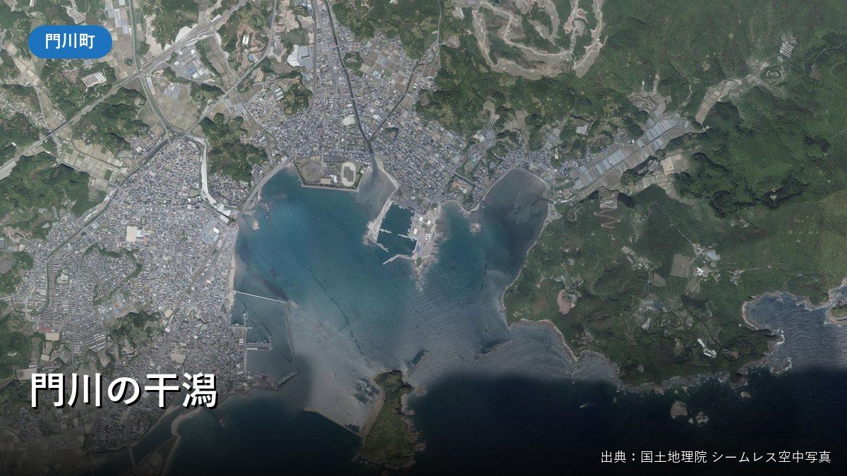門川湾北部の空中写真(門川町の干潟)