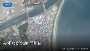 みずなが水産 門川店(門川町南町)付近の空中写真(国土地理院)