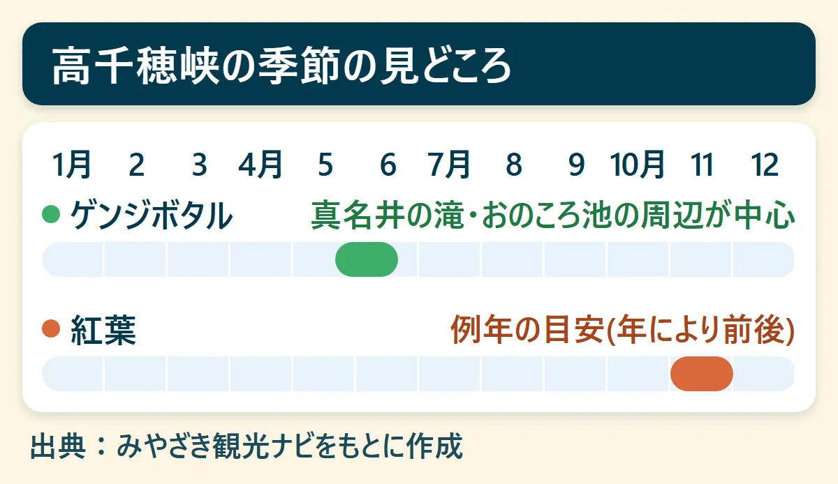 高千穂峡のゲンジボタル(5月下旬〜6月中旬)と紅葉(11月上旬〜下旬)の時期を、1月から12月の帯で示した図