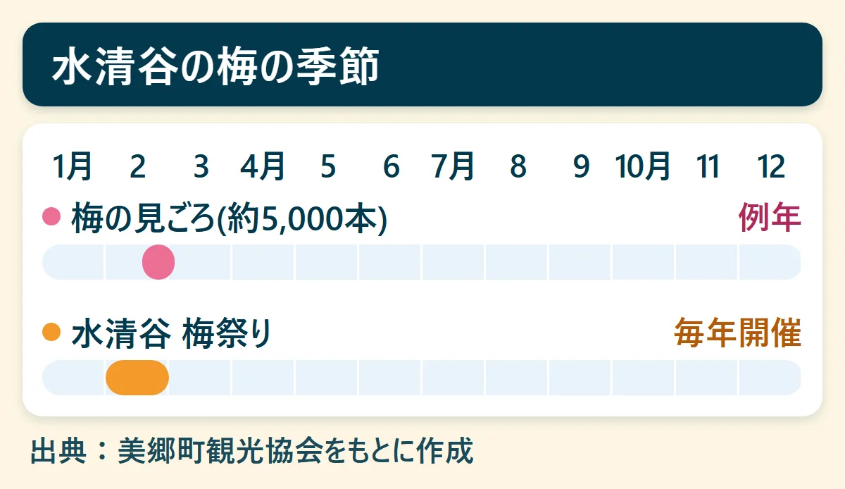 水清谷の梅の季節：梅の見ごろ(約5,000本)（例年）、水清谷 梅祭り（毎年開催）を、1月から12月の帯で示した図