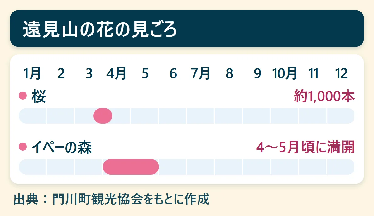 遠見山の花の見ごろ:桜(約1,000本)、イペーの森(4〜5月頃に満開)を、1月から12月の帯で示した図