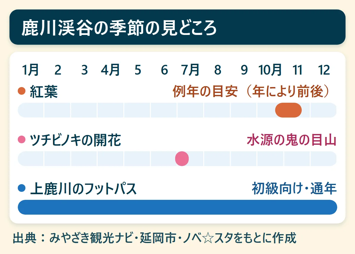 鹿川渓谷の季節の見どころ:紅葉は10月下旬〜11月中旬、ツチビノキの開花は7月上旬、上鹿川のフットパスは通年、を1月から12月の帯で示した図