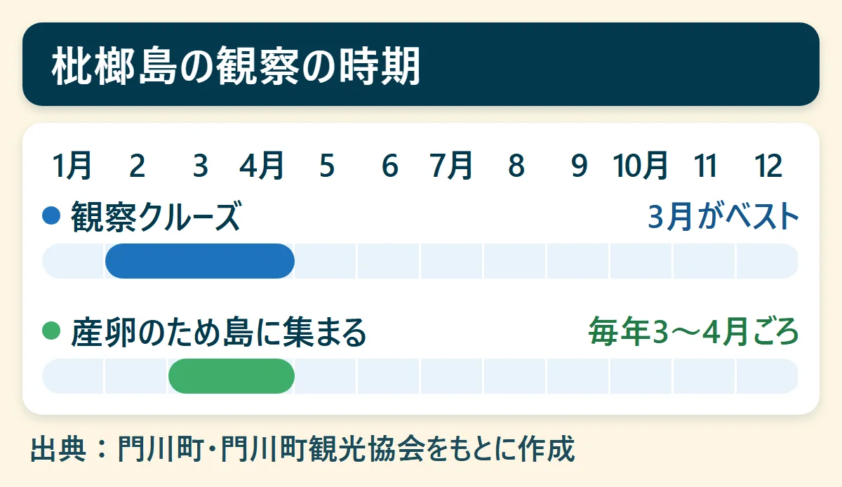 枇榔島の観察の時期:観察クルーズは2月〜4月(3月がベスト)、カンムリウミスズメが産卵のため島に集まるのは毎年3〜4月ごろ、を1月から12月の帯で示した図