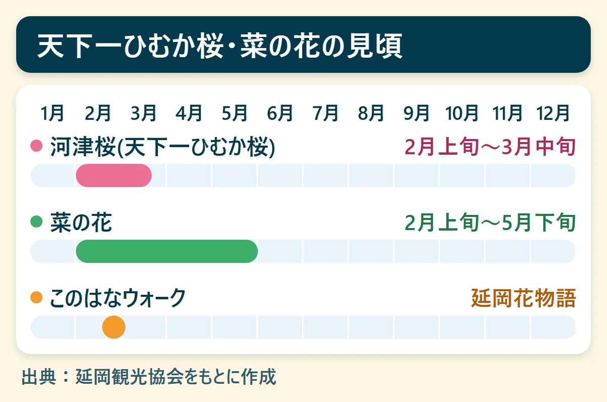 天下一ひむか桜・菜の花の見頃：河津桜(天下一ひむか桜)（2月上旬〜3月中旬）、菜の花（2月上旬〜5月下旬）、このはなウォーク（延岡花物語）を、1月から12月の帯で示した図
