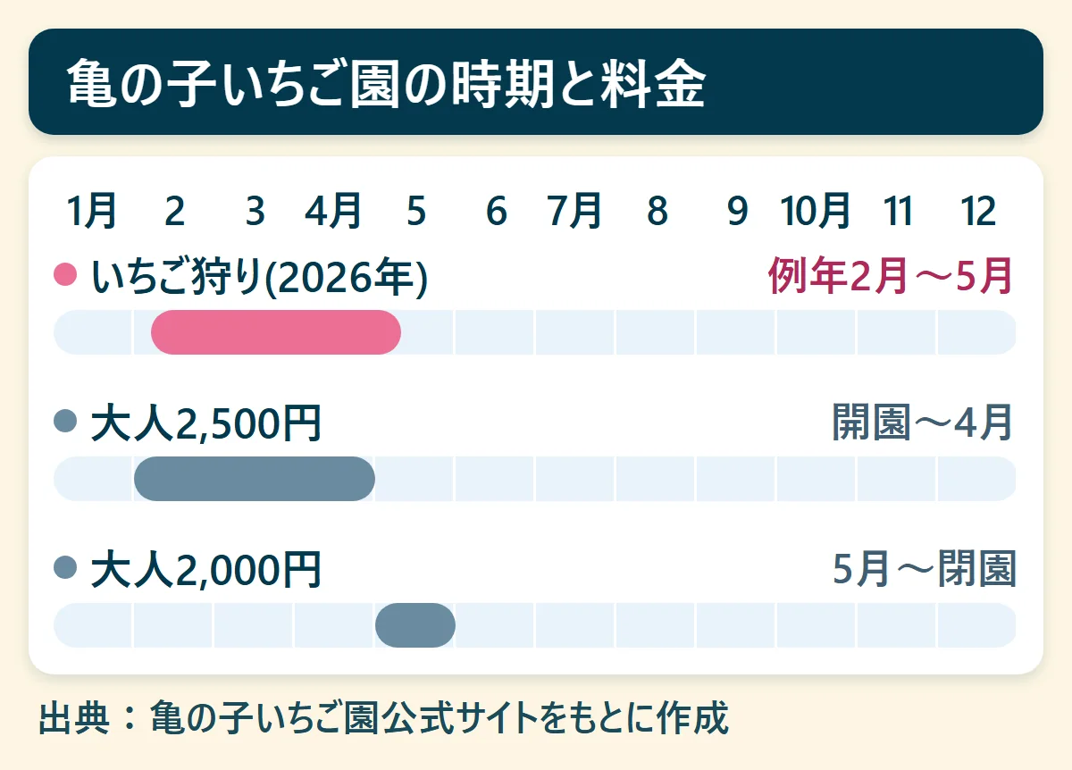 亀の子いちご園の時期と料金：いちご狩り(2026年)（例年2月〜5月）、大人2,500円（開園〜4月）、大人2,000円（5月〜閉園）を、1月から12月の帯で示した図