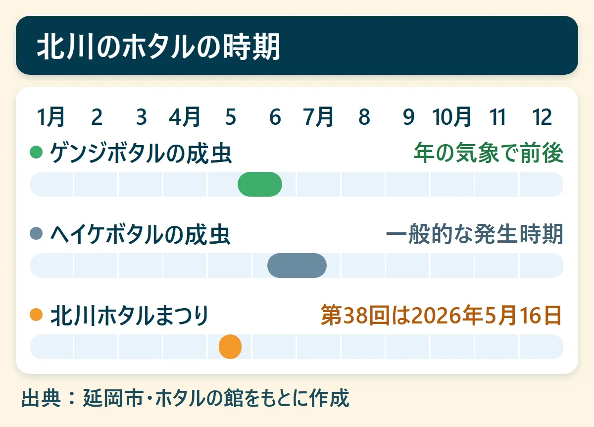 北川のホタルの時期：ゲンジボタルの成虫（年の気象で前後）、ヘイケボタルの成虫（一般的な発生時期）、北川ホタルまつり（第38回は2026年5月16日）を、1月から12月の帯で示した図