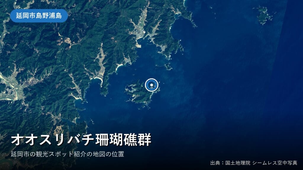 オオスリバチ珊瑚礁群（延岡市島野浦島の北東部）付近の空中写真（国土地理院）