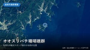 オオスリバチ珊瑚礁群（延岡市島野浦島の北東部）付近の空中写真（国土地理院）