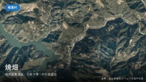 椎葉村の山あいの空中写真(焼畑)