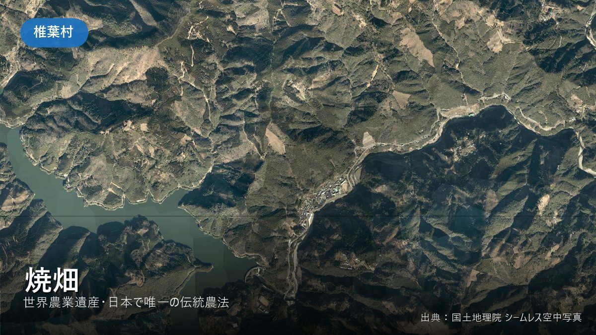 椎葉村の山あいの空中写真(焼畑)