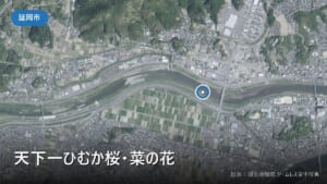 天下一ひむか桜・菜の花（延岡市野地町）付近の空中写真