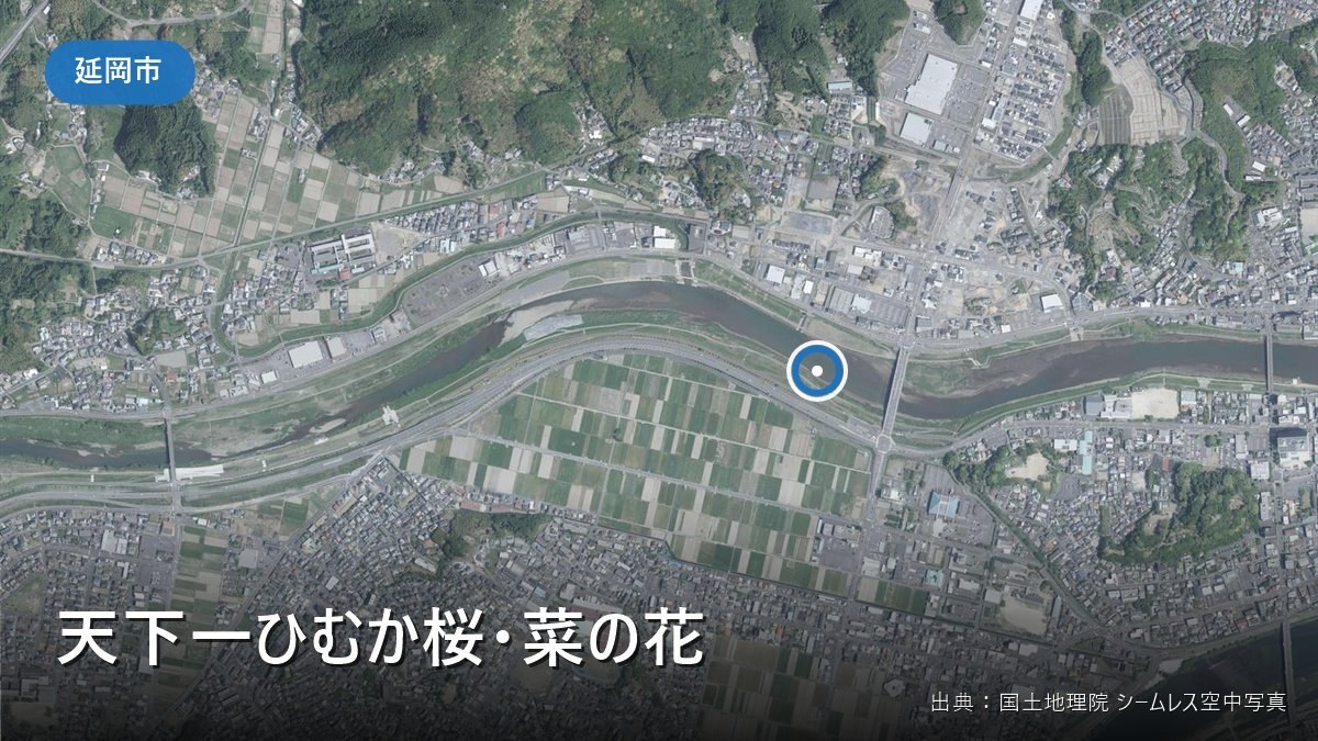 天下一ひむか桜・菜の花（延岡市野地町）付近の空中写真