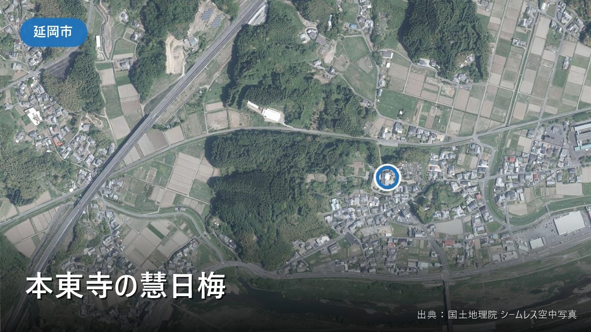 本東寺（延岡市松山町）付近の空中写真